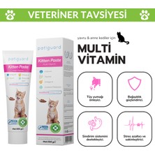 Kitten Paste 100G Yavru &anne Kedi Multivitamin Malt Macun