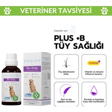 Plus B For Dogs Köpekler Için Tüy Dökülmesi Engelleyici Biyotin Tüy Sağlığı Damlası 50ML