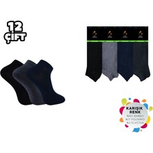 ADG Socks Adg 3017 Dikişsiz Erkek Bambu Patik 12'li