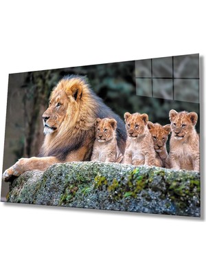 Aslanlar Cam Tablomiyremlions Table  110X70-MIYREM