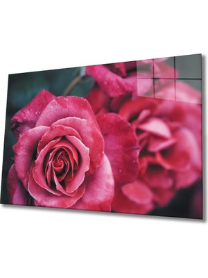 Miyrem Rose Cam Tablo 36 x 23-Mıyrem