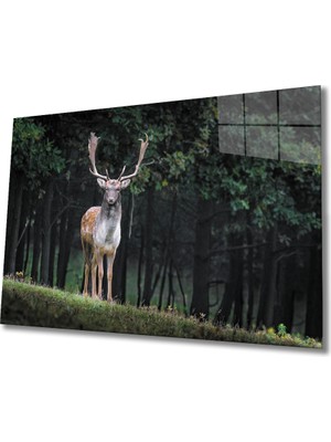 Miyrem Geyik Cam Tablo 36 x 23-Mıyrem