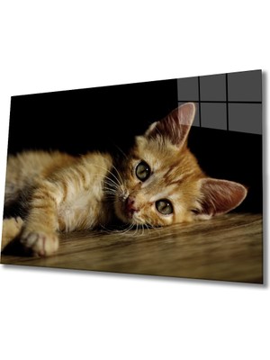 Miyrem Kedi Cam Tablo 36 x 23-Mıyrem