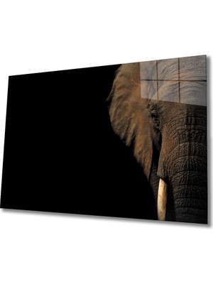 Miyrem Fil Cam Tablo 36 x 23-Mıyrem