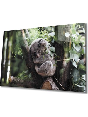 Miyrem Koala Cam Tablo 36 x 23-Mıyrem