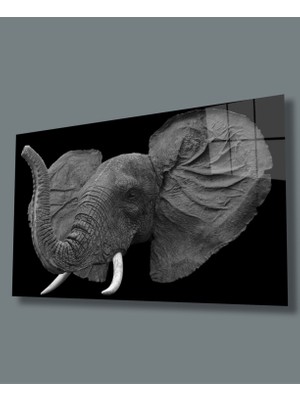 Miyrem Fil  Hayvan Cam Tablo 36 x 23-Mıyrem
