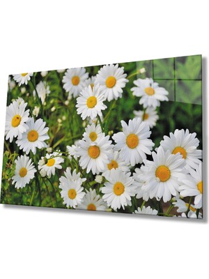 Miyrem Papatya Çiçek Cam Tablomiyrem Daisy Flower  36 x 23-Mıyrem