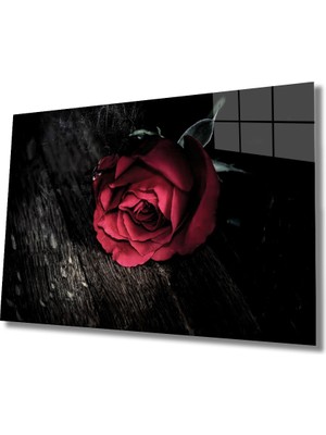 Miyrem Kırmızı Çiçek Illüstrasyon Cam Tablo 36 x 23-Mıyrem