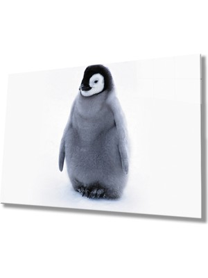 Penguen Cam Tablomiyrempenguin Table  36X23-MIYREM