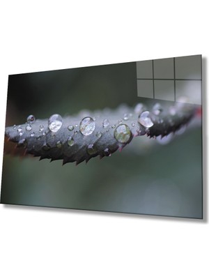Su Damlaları Yeşil Yapraklar 36X23-MIYREM