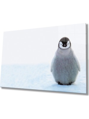 Penguen Cam Tablomiyrempenguin Table  36X23-MIYREM