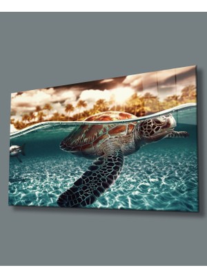 Sualtı Cam TABLOMIYREM36X23-MIYREM