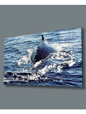 Sualtı Hayvan Cam TABLOMIYREM36X23-MIYREM