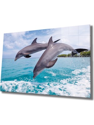 Yunus Balıkları Cam Tablo Dolphins  36X23-MIYREM