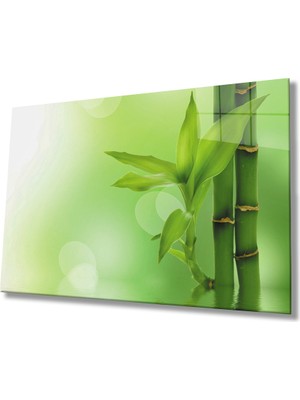 Yeşil Bitki Cam Tablomiyremgreen Plant  36X23-MIYREM