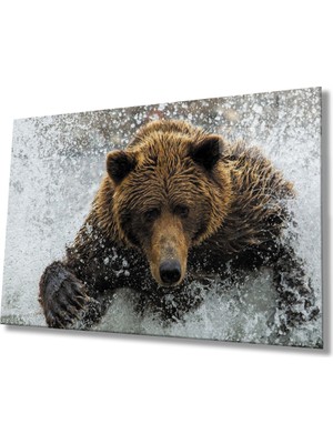 Ayı Cam TABLOMIYREM36X23-MIYREM