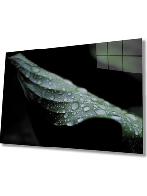 Su Damlası Yaprak Yeşil Cam Tablo 36X23-MIYREM