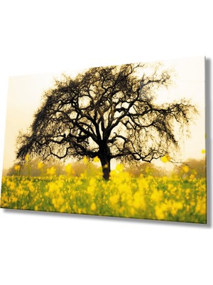 Sarı Çiçek  Ağaç Manzara Yeşil Cam Tablo 36X23-MIYREM