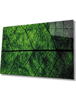 Yeşil Yaprak Green Leaf  36X23-MIYREM
