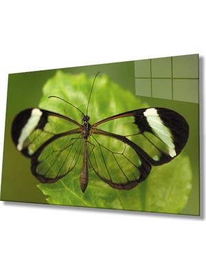 Yeşil Yaprak Kelebek  36X23-MIYREM