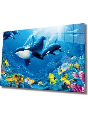 Yunus Balıklar Sualtı Hayatı Cam Tablo 36X23-MIYREM