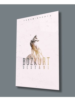 Bozkurt Cam TABLOMIYREM36X23-MIYREM