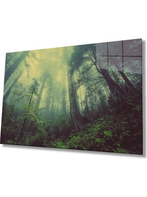 Aşağıdan Yukarı Ağaçlar Yeşil Cam Tablo 36X23-MIYREM