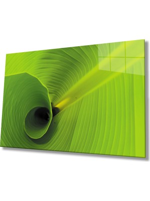 Yeşil Yaprak Cam Tablomiyrem Green Leaf  36X23-MIYREM