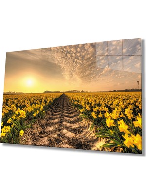 Gün Batımı Toprak Sarı Çiçekler Cam Tablo 36X23-MIYREM