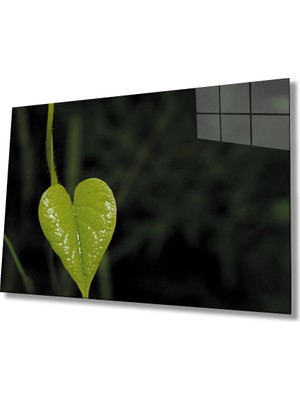 Yeşil Kalp  Yaprak Green Heart Leaf  36X23-MIYREM