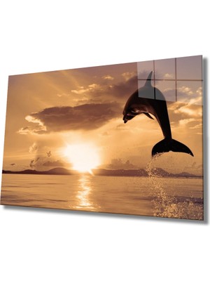 Yunus Balığı Cam Tablo Dolphin  36X23-MIYREM