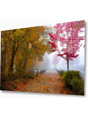 Doğa Cam TABLOMIYREM36X23-MIYREM