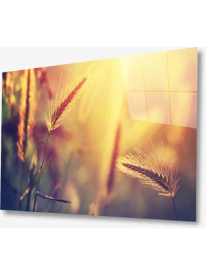Doğa Cam TABLOMIYREM36X23-MIYREM