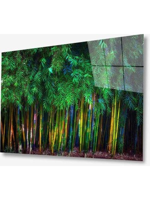 Doğa Cam TABLOMIYREM36X23-MIYREM