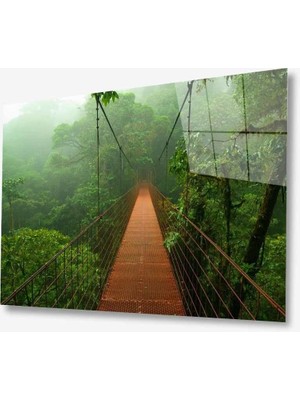 Doğa Cam TABLOMIYREM36X23-MIYREM