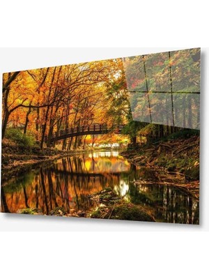 Doğa Cam TABLOMIYREM36X23-MIYREM