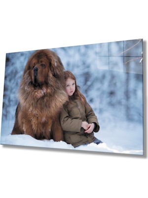 Çocuk ve Köpek Cam TABLOMIYREM36X23-MIYREM