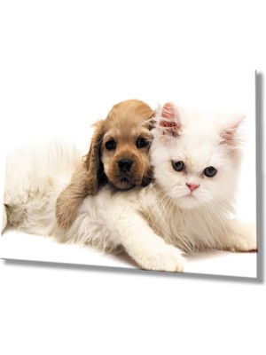 Kedi ve Köpek Cam TABLOMIYREM36X23-MIYREM
