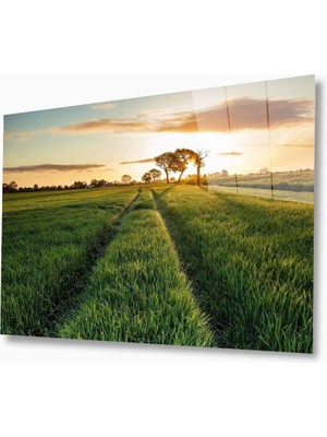 Doğa Cam TABLOMIYREM36X23-MIYREM