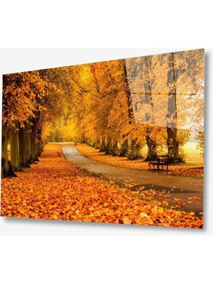 Doğa Cam TABLOMIYREM36X23-MIYREM