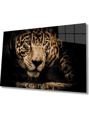Kaplan  Tablo Tablo  36X23-MIYREM