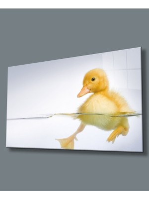 Sarı Ördek Cam TABLOMIYREM36X23-MIYREM