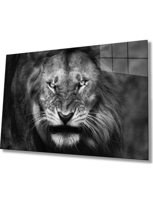 Aslan Cam TABLOMIYREM36X23-MIYREM