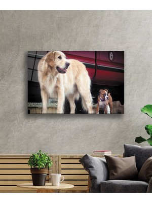 Köpek Cam TABLOMIYREM36X23-MIYREM