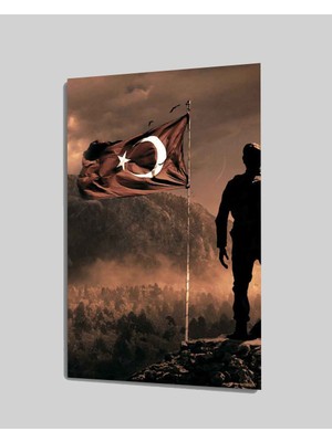 Türk  Askeri ve Bayrak Cam TABLOMIYREM72X46-MIYREM
