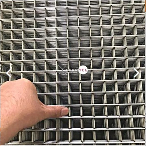 Ersa Tel Galvanizli Kaynaklı Hasır Tel Çit 2x2 2.20 mm 100X200