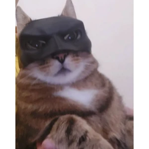 Kediler Için - Batman Kedi Maskesi