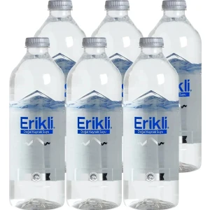 Premium Su Cam Pet 750 ml x 6 Adet