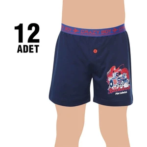 0253 Elestan Baskılı Erkek Çocuk Boxer 12'li