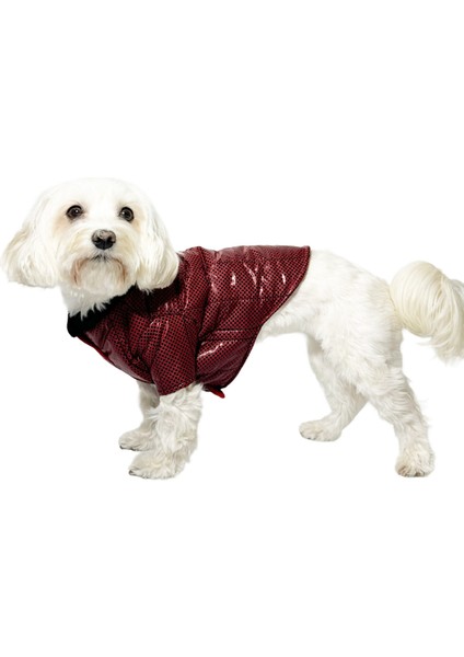 Bordo Köpek Mont